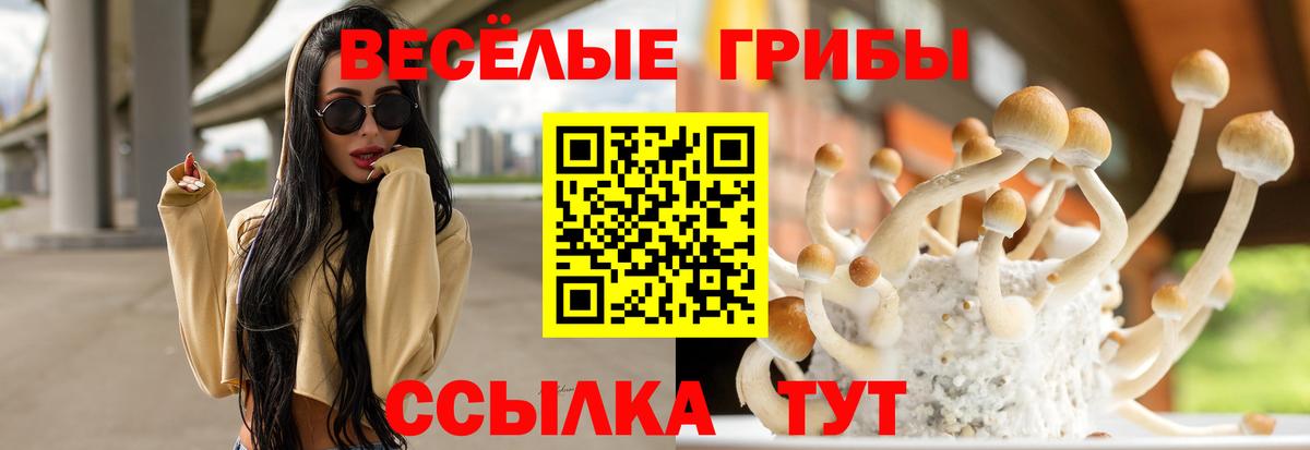 Галлюциногенные грибы GOLDEN TEACHER Волгоград