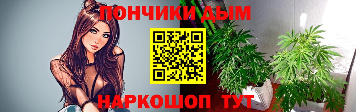 Бошки Шишки планчик Волгоград